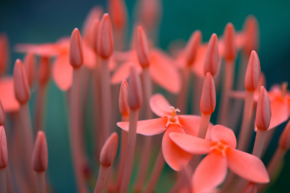 Photograph by Сергей Романченко