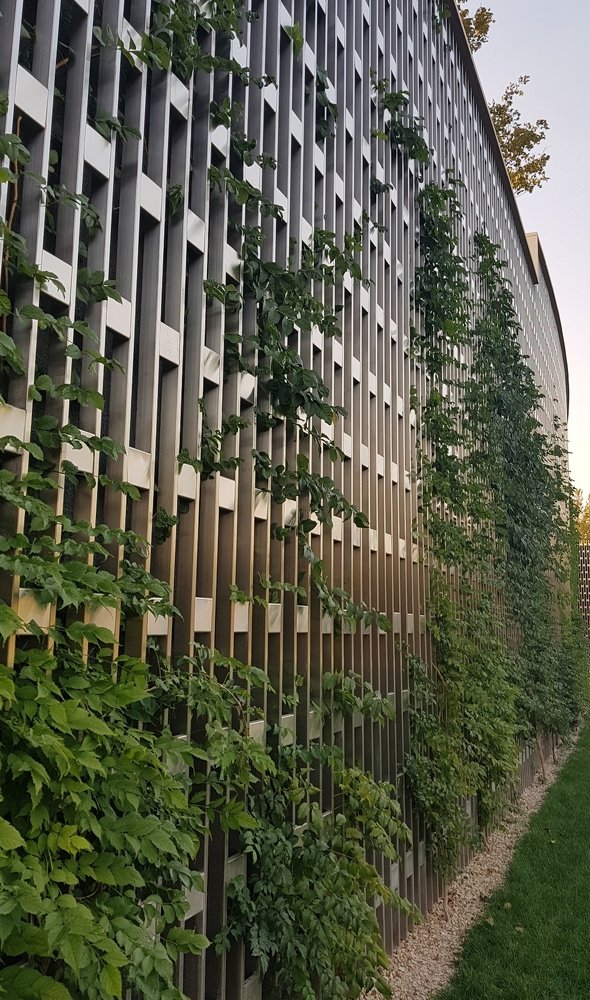 Цепляясь за жизнь