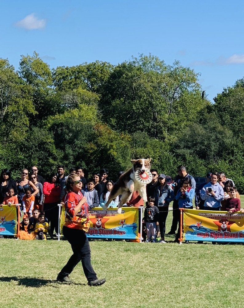 Photograph by  Mandana