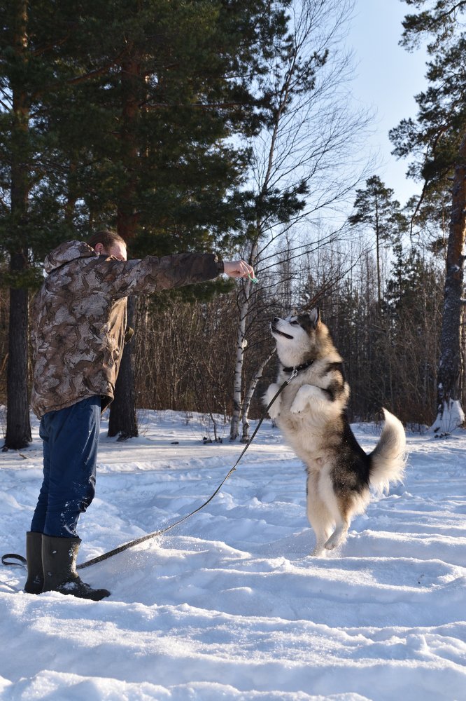 Фотография автора Анастасия Руднева