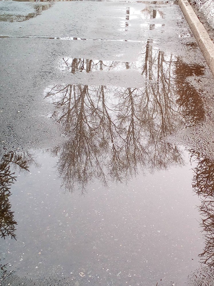 Photograph by Ирина