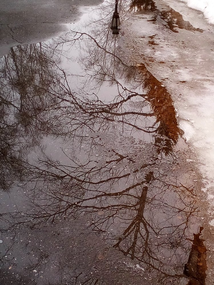 Photograph by Ирина