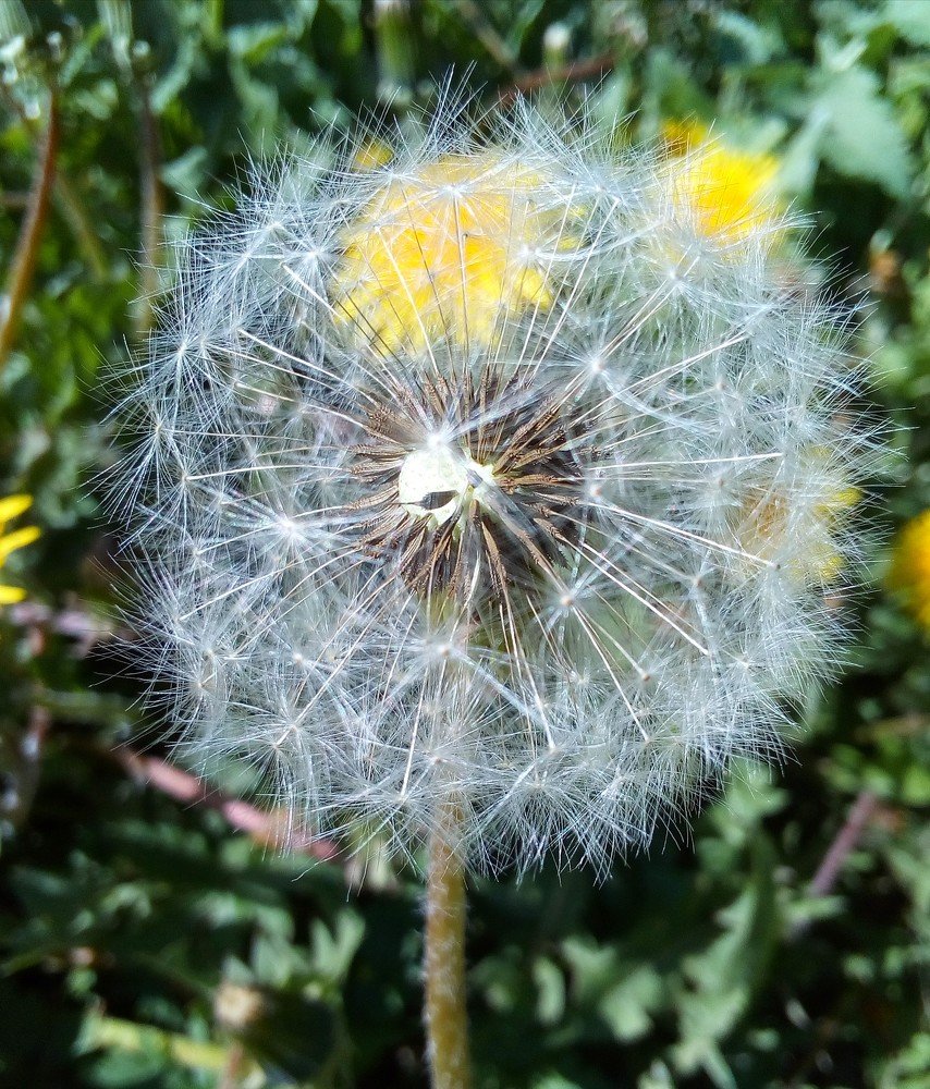 Photograph by Ирина