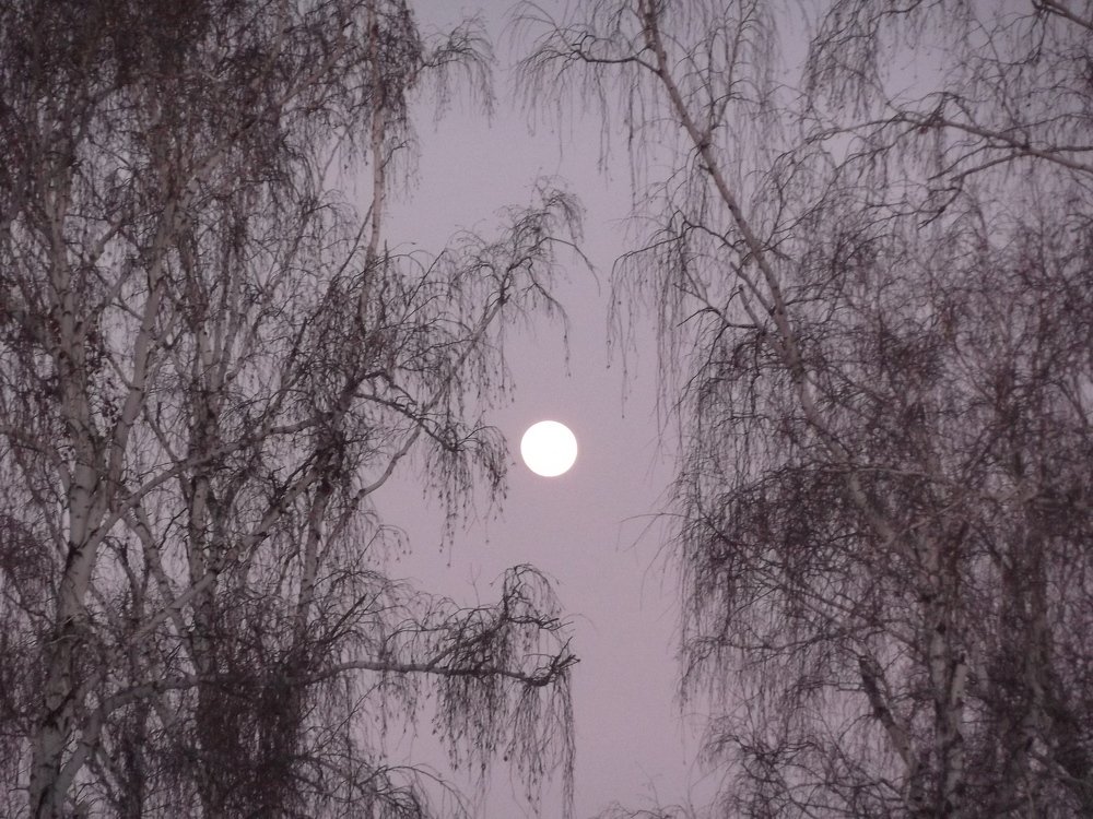 Photograph by Ирина