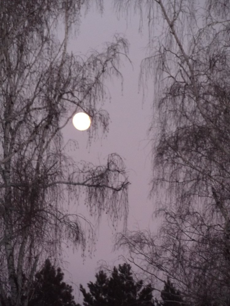 Photograph by Ирина