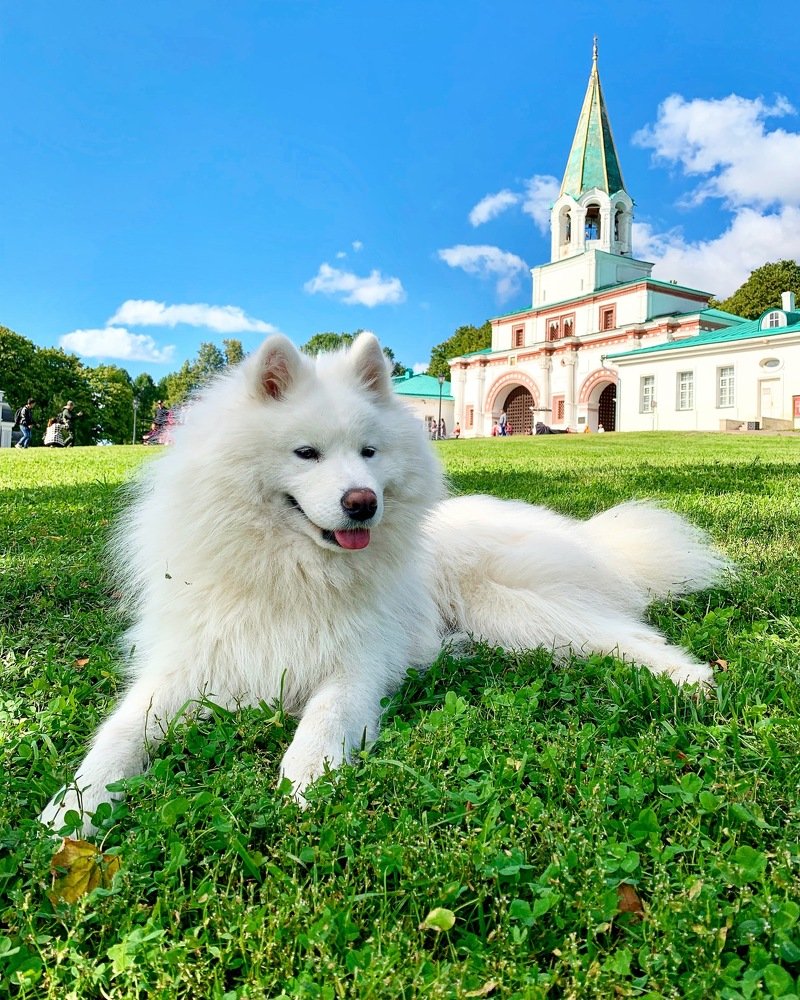 Photograph by Никита Борзов