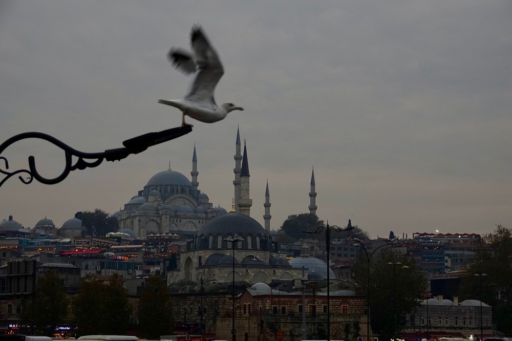 Photograph by Наталья Пирогова