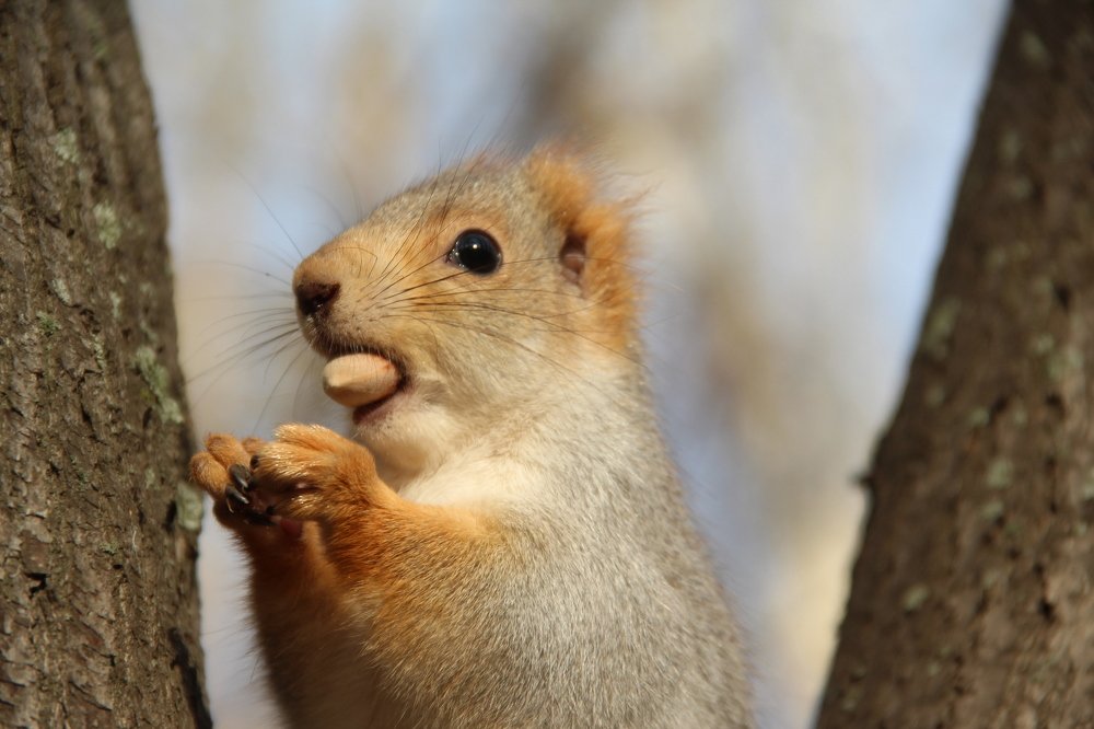 Photograph by Elena Khalizova