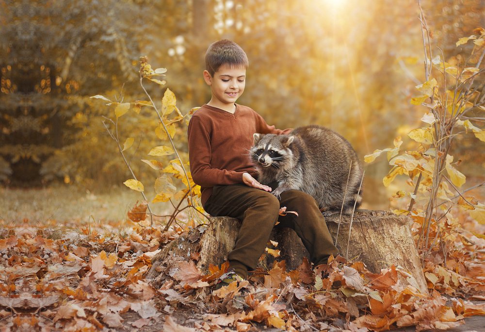 Photograph by Наталья Широкая