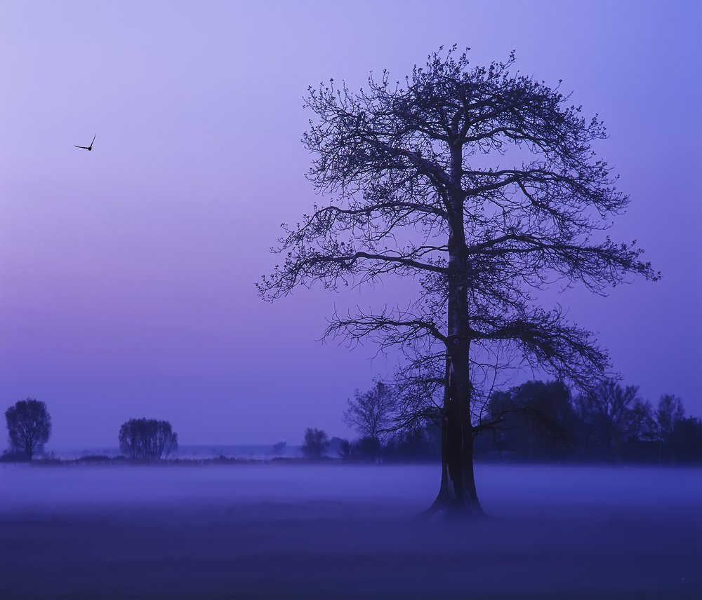 Photograph by Александр Иванов