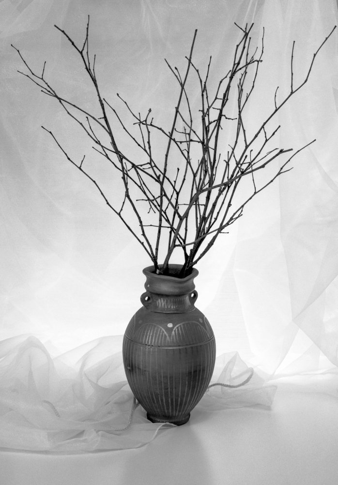 Photograph by Kuzmichev Alexey