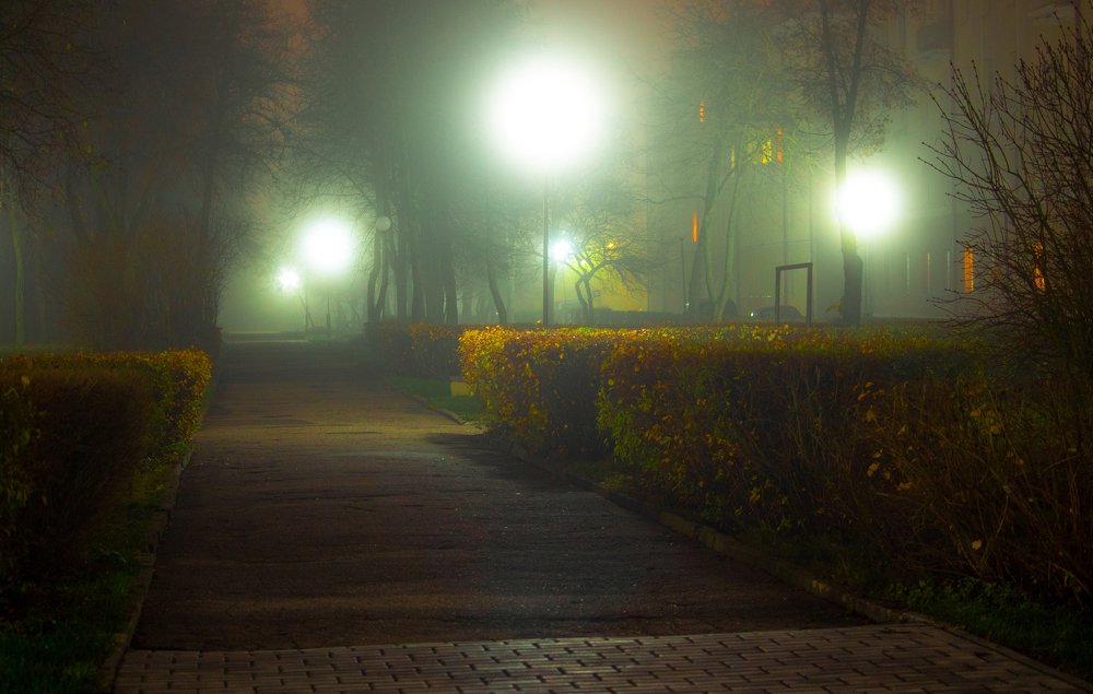 Photograph by Алексей Алексейчик