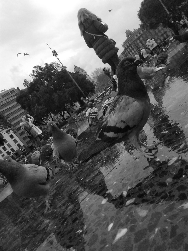 Photograph by Margy Ruseva