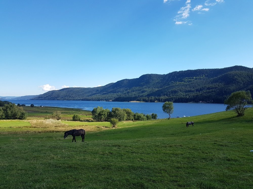 Photograph by Iliyan Iliev