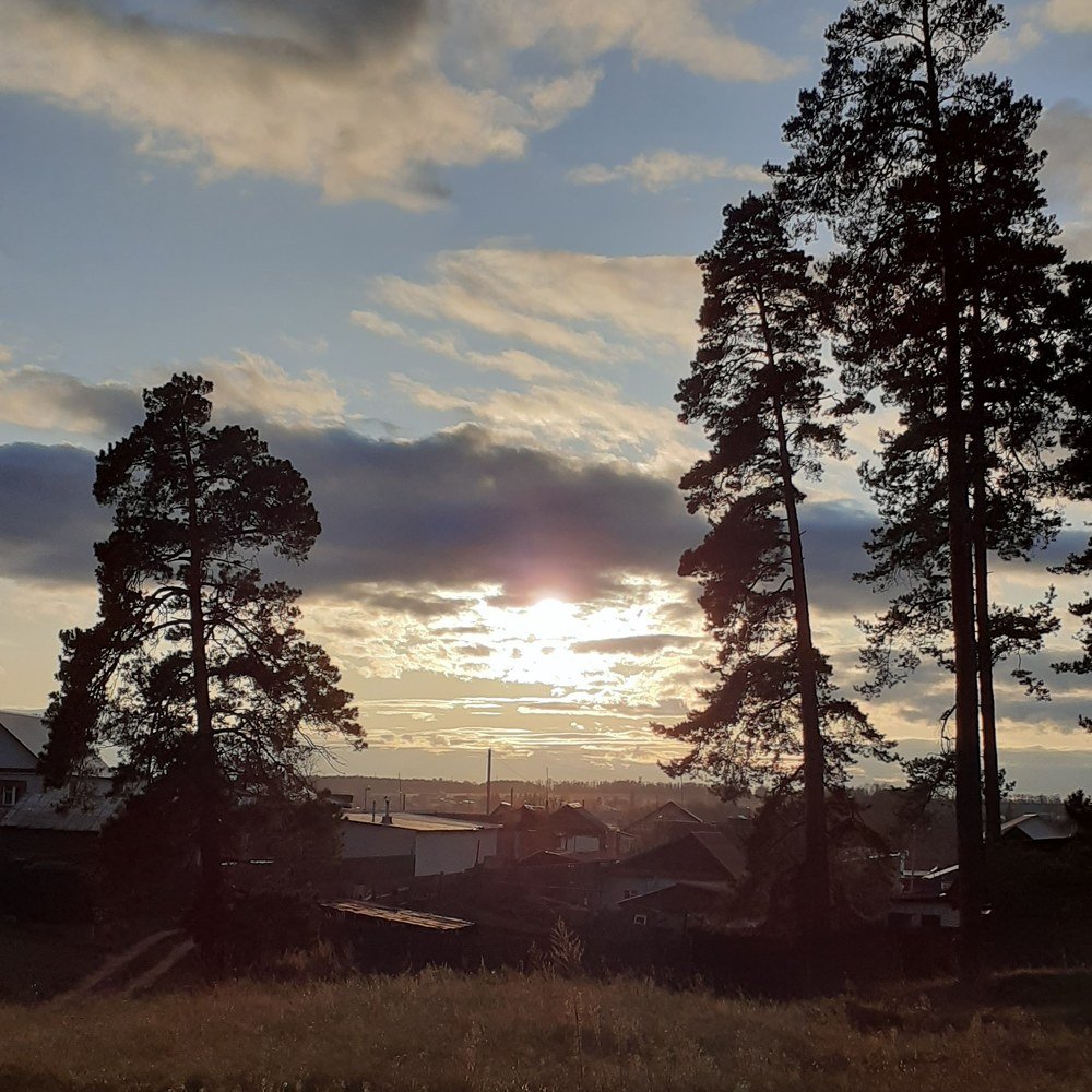 Photograph by Алсу Гиматова