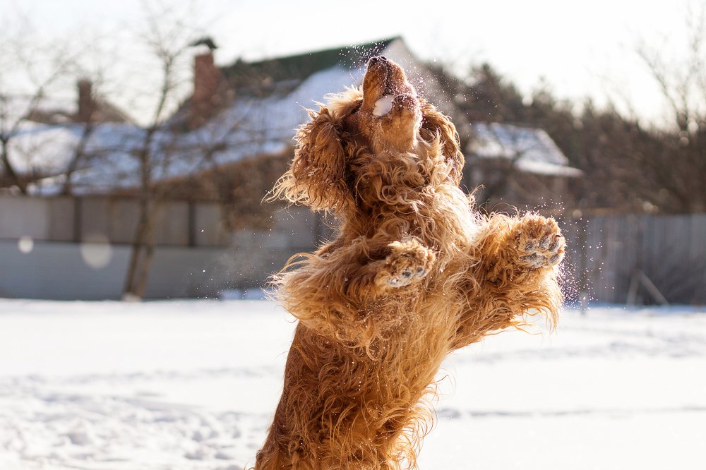 Photograph by Anna Chizh