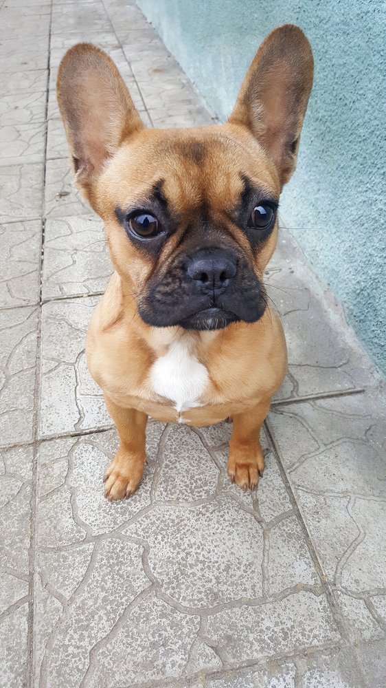 Фотография автора Teglaş Marin