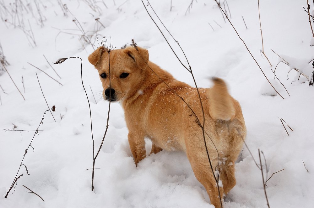 Фотография автора Teglaş Marin