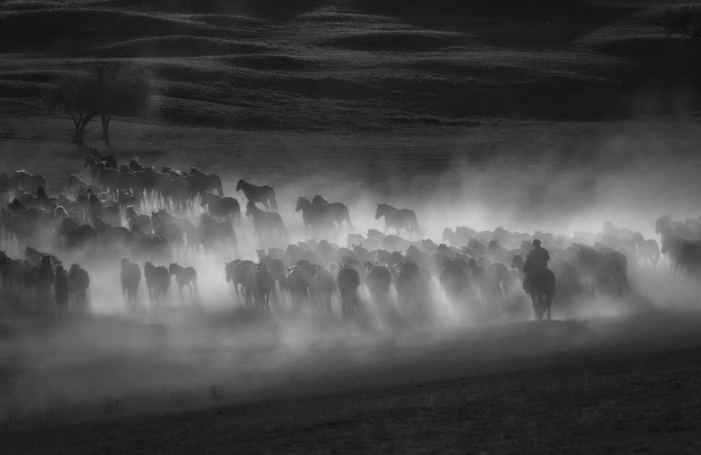 Photograph by Kok Tien Sang