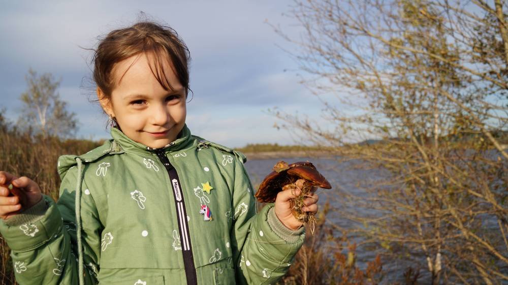 Photograph by Иван Кирилков