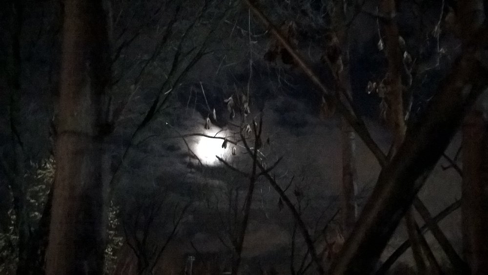 Photo #3901679