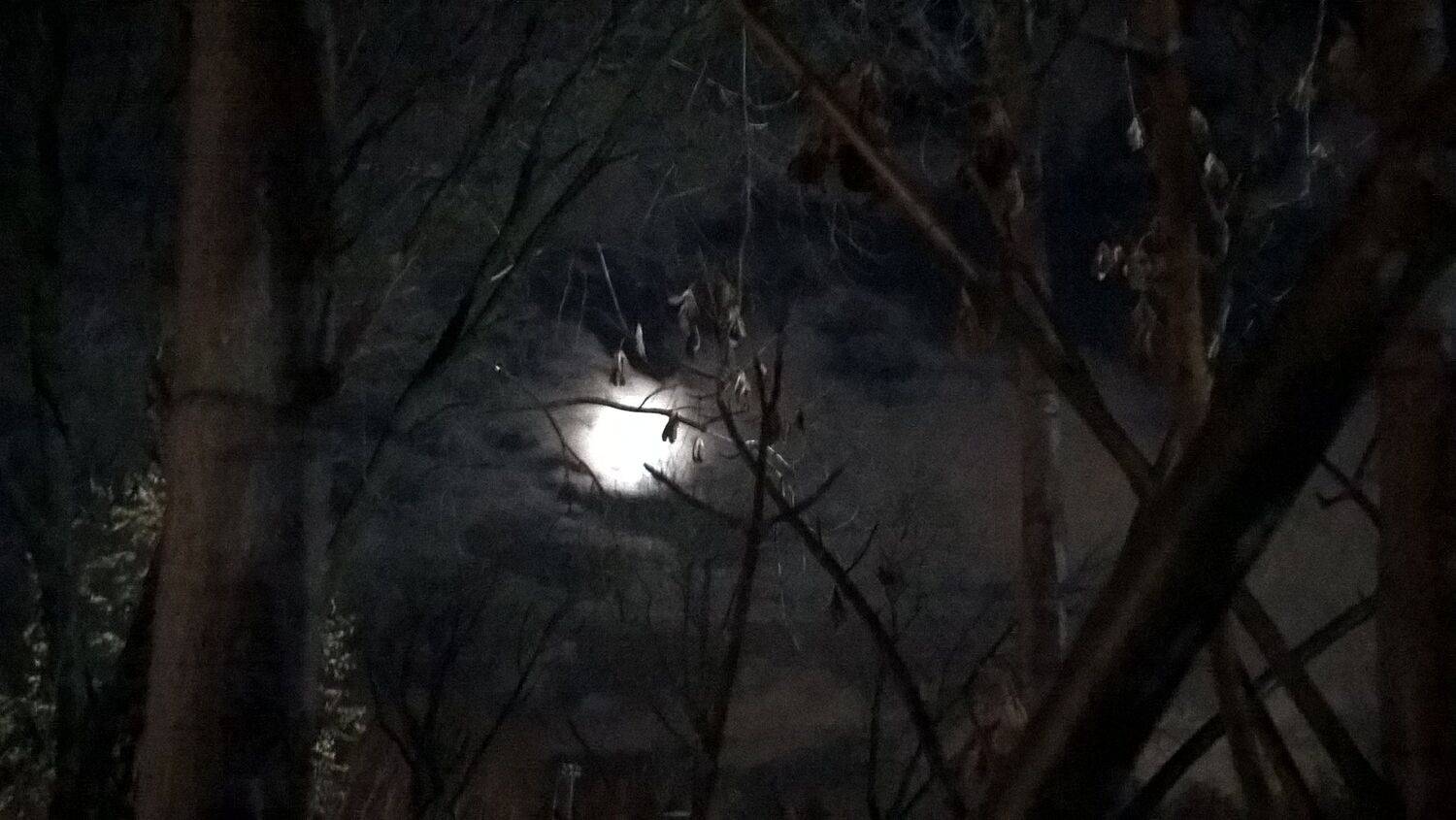 Photo #3901679