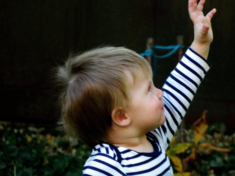 Photograph by Сергей Рапопорт