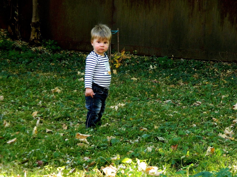 Photograph by Сергей Рапопорт