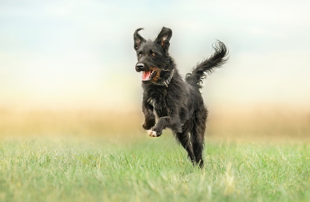 Photograph by Ольга Овчинникова