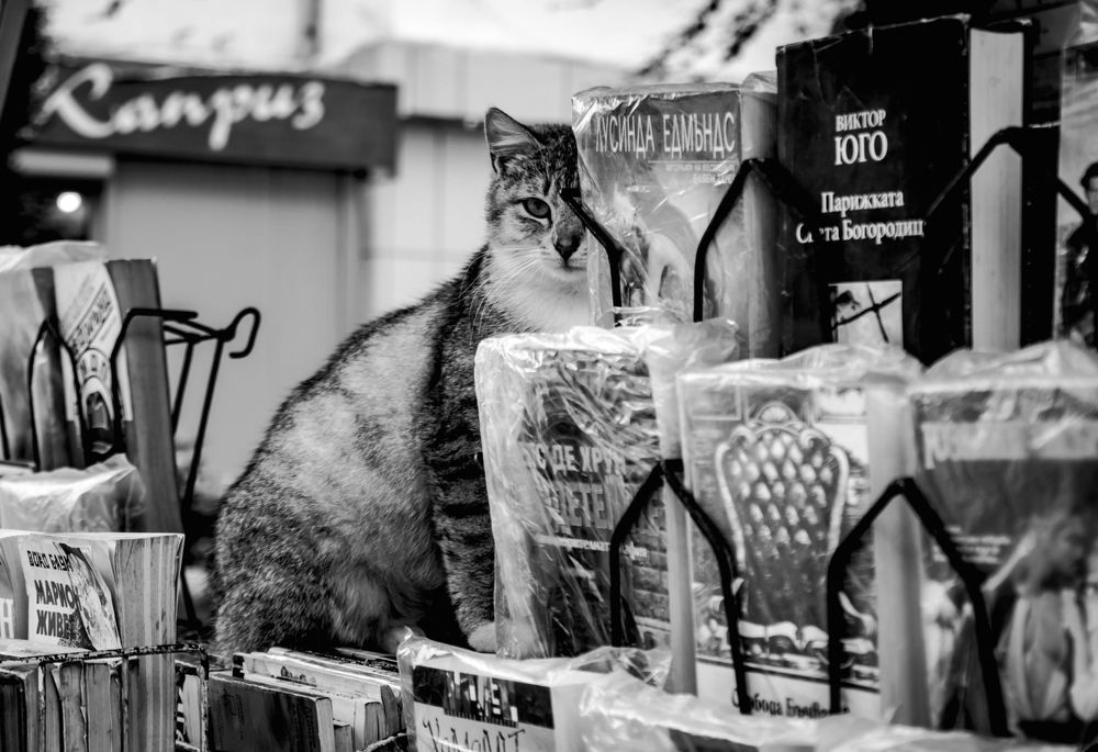 Photograph by Polina Sharapova