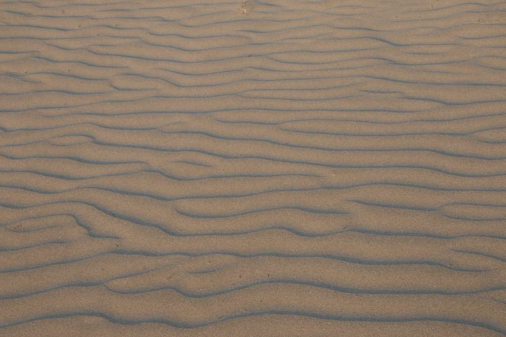 Photograph by Svitlana Zaritski