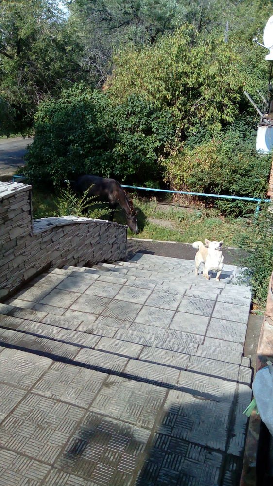 Света Стецова Юрьевна Чингизхан не меньше