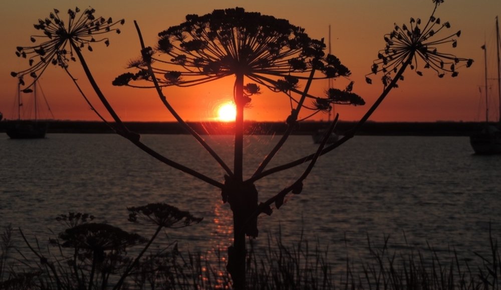 Photograph by Bob Brouwer