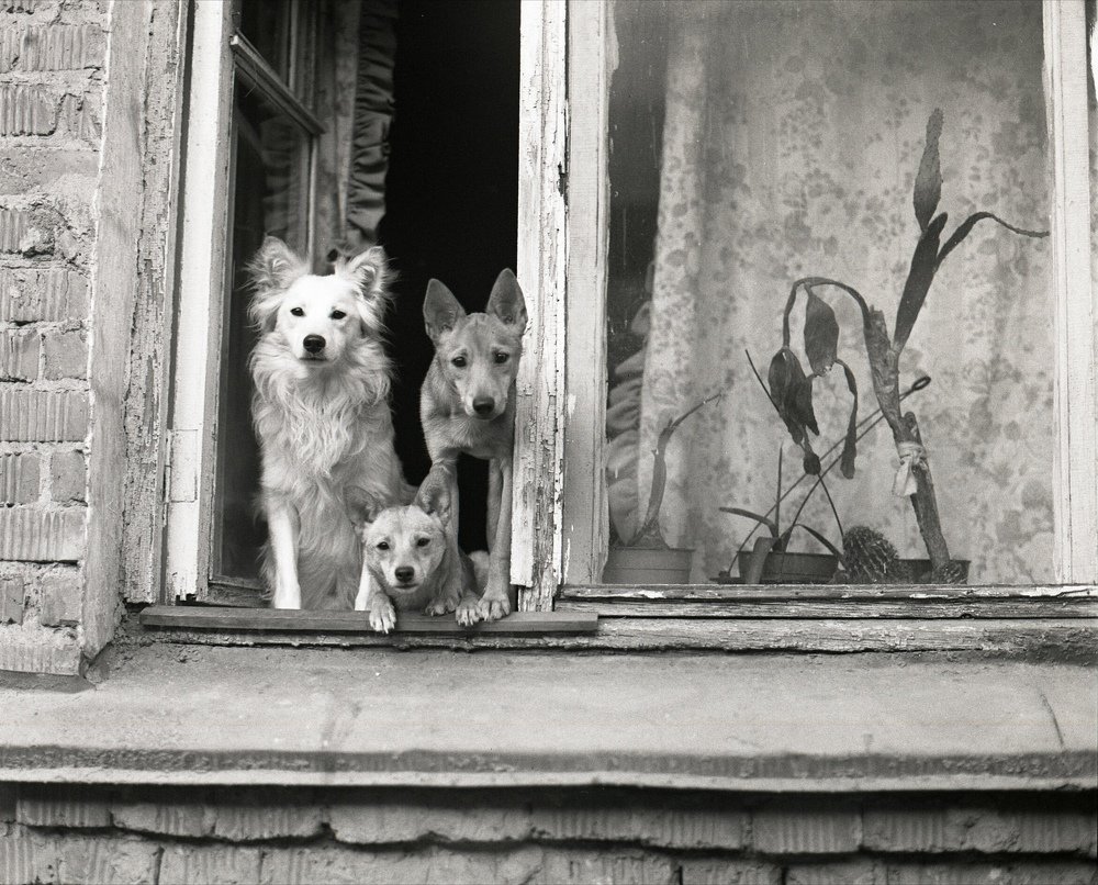 Фотография автора Илья Глобин