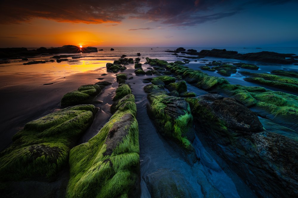 Photograph by Joseph Cheung