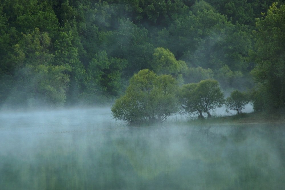 Туманное утро