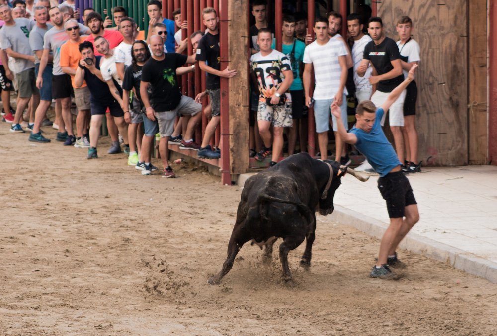 Photograph by Svitlana Zaritski