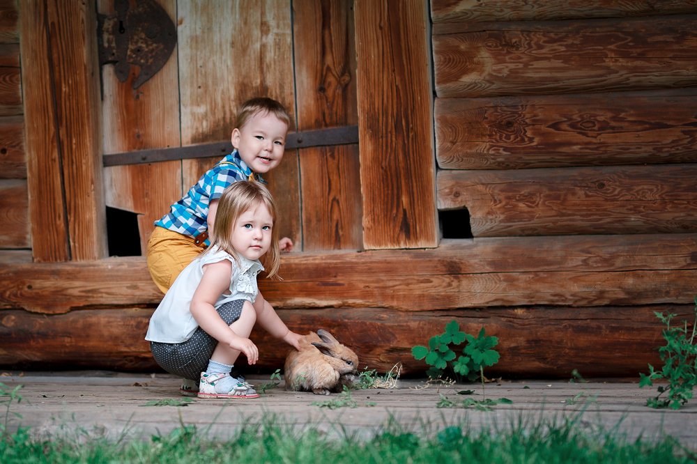 Photograph by Ольга Дурнева