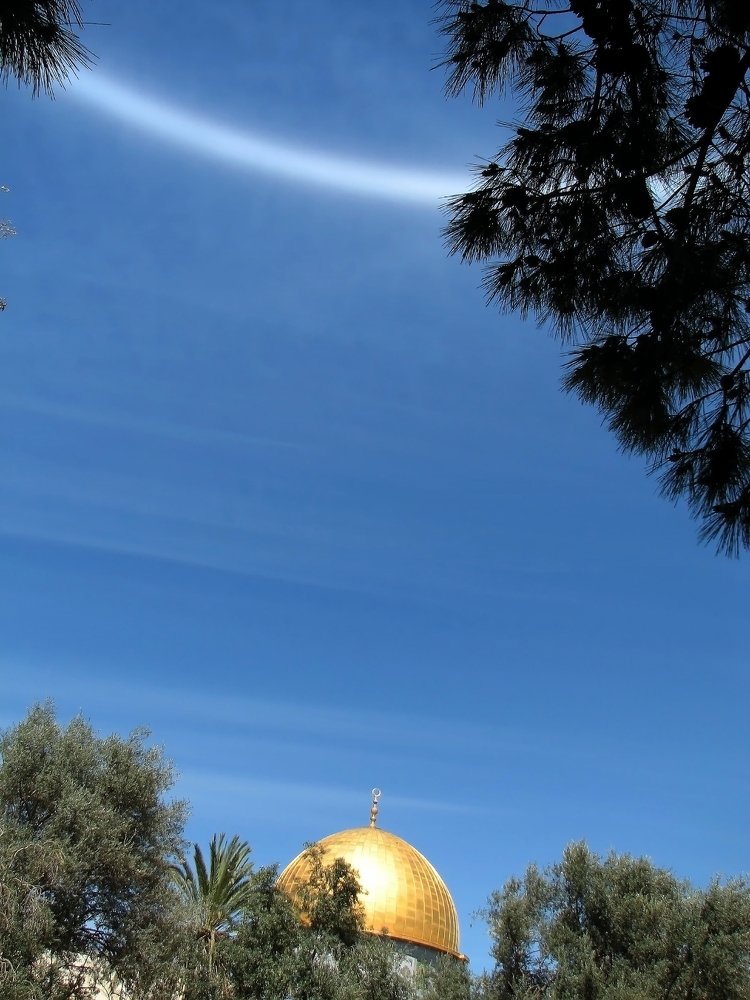 Photograph by Михаил Малец