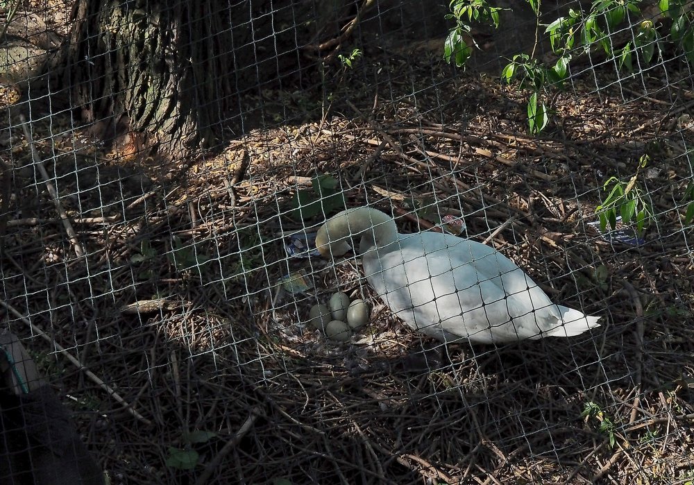 Photograph by Михаил Малец