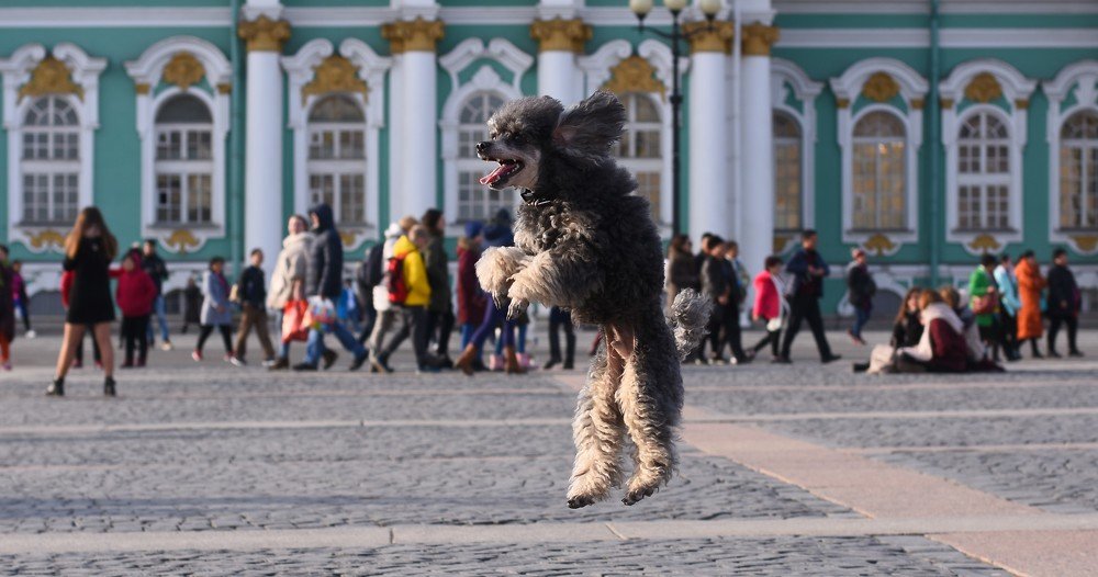 Photograph by Надежда Буаллаг