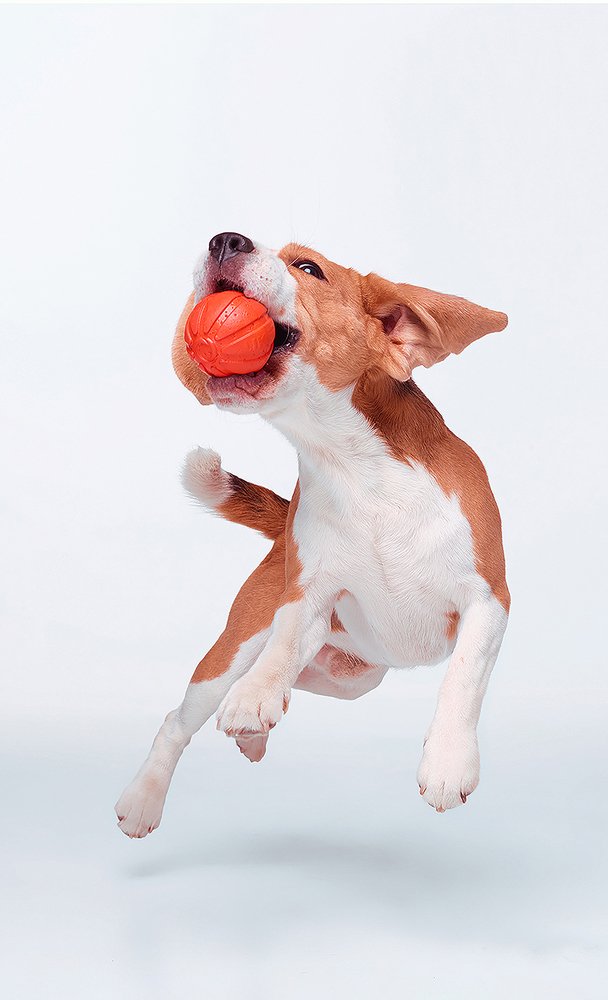 Photograph by Katerina Mumzhinskaya