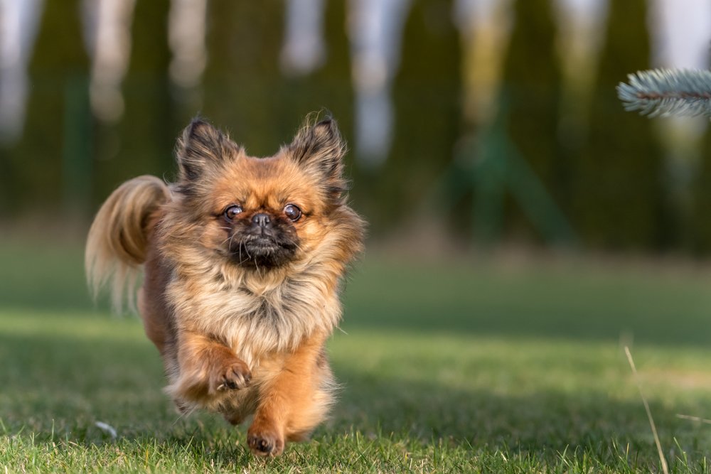 Photograph by Ertugrul ALTYNTASH