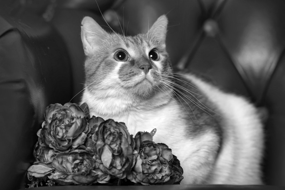 Photograph by Анна Кривицкая