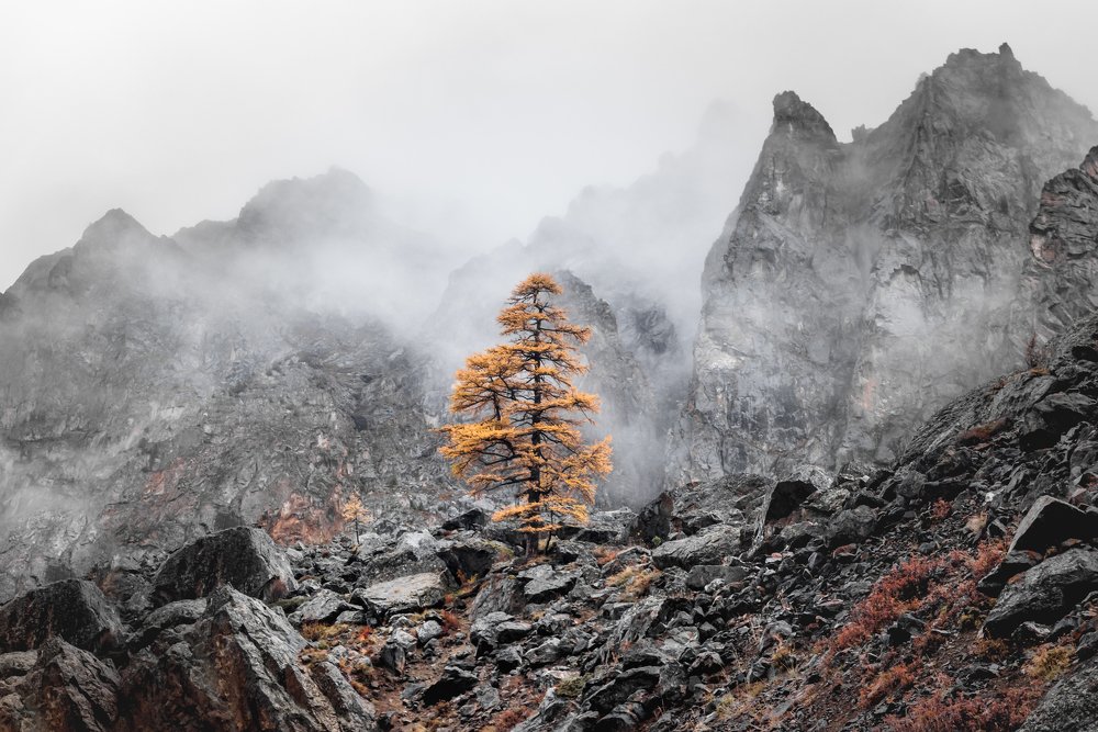 Photograph by Ertugrul ALTYNTASH