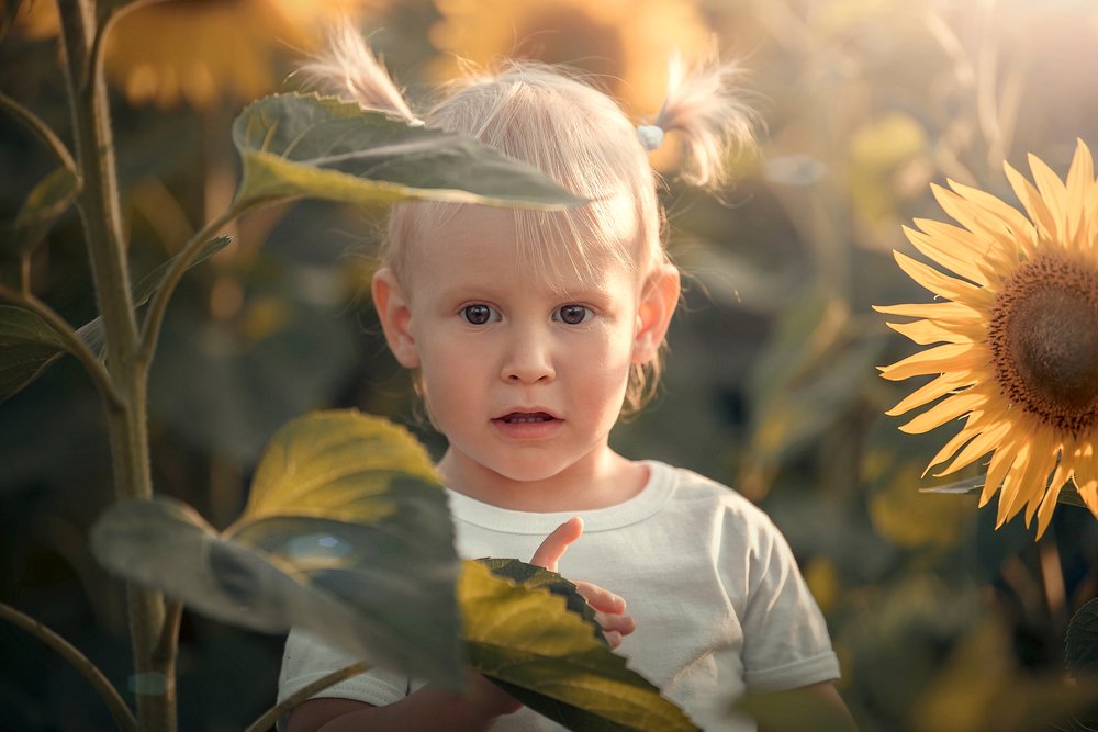 Photograph by Екатерина Попкова