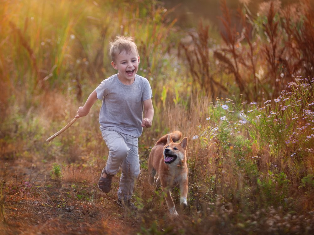 Photograph by Анастасия Кушнырь