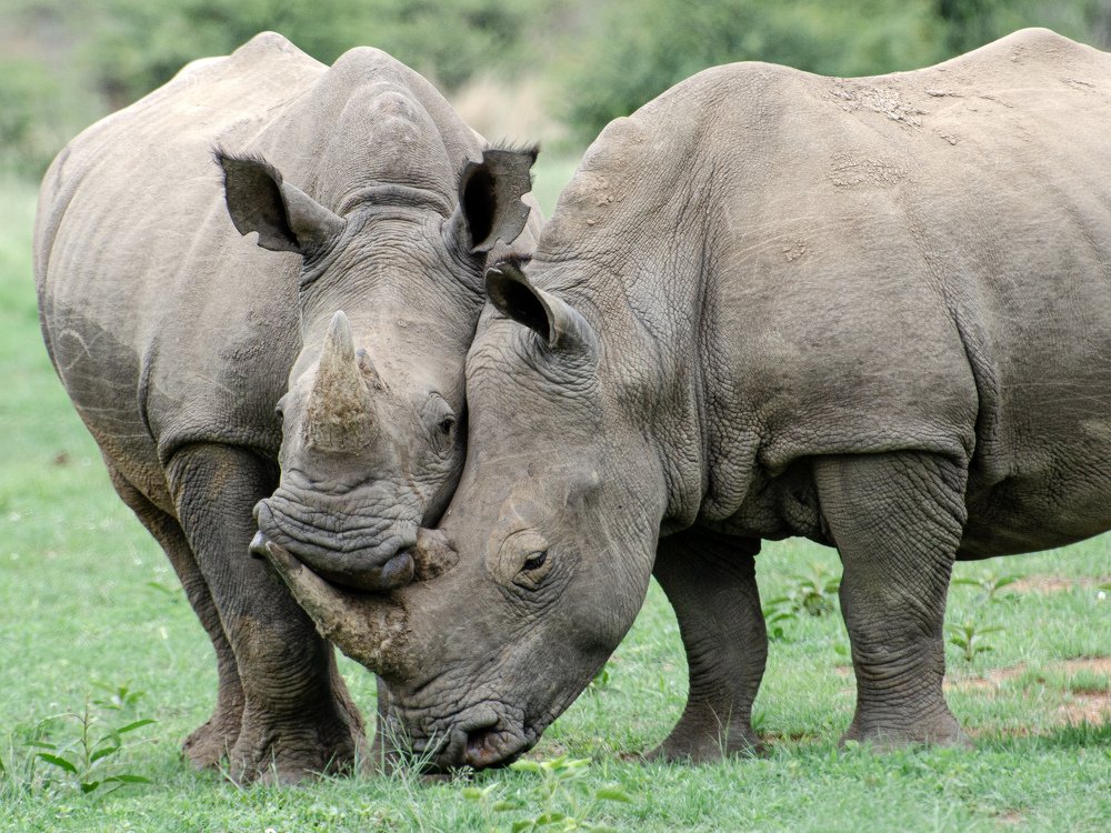 Photograph by Данил Луговой