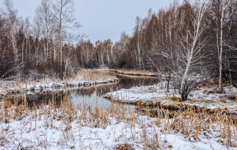 Photograph by Дарья Молчанова