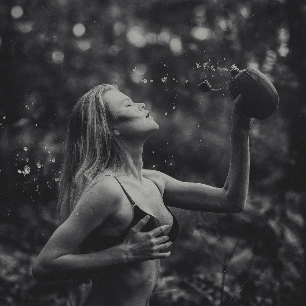 Фотография автора Владимир Воронов